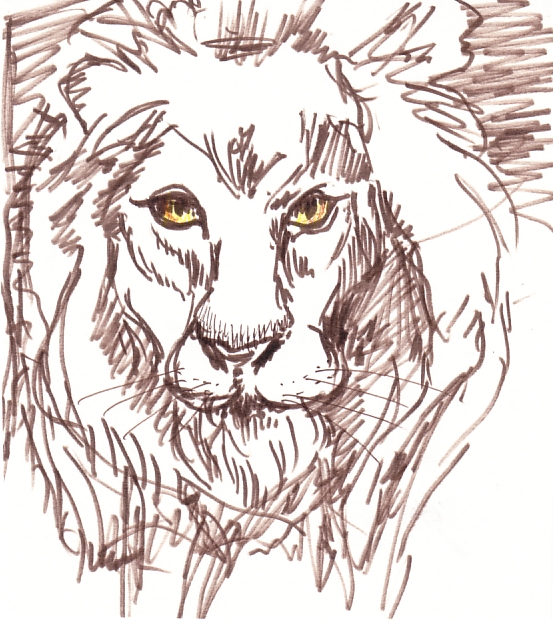 pictures of lions to draw. requested a lion card so I